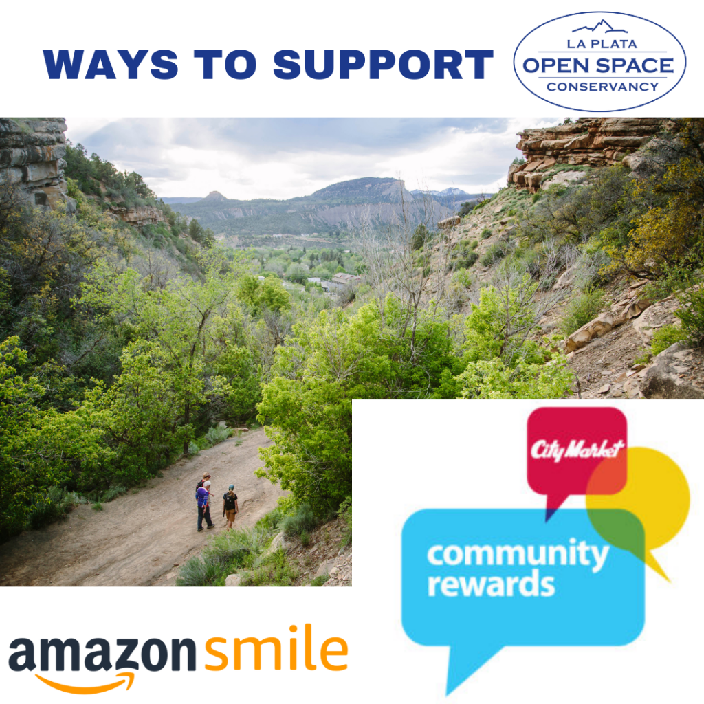 Amazon Smile & City Market Giveback Programs